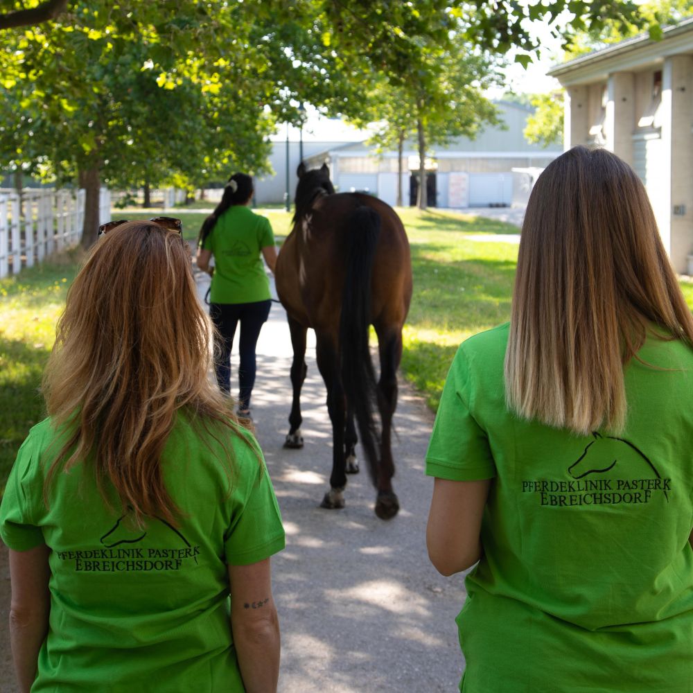 pferd-turnierbetreuung pferd turnierbetreuung