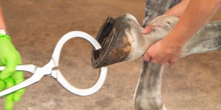 Leistung_1 Leistung 1