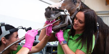 Leistung_2 Leistung 2