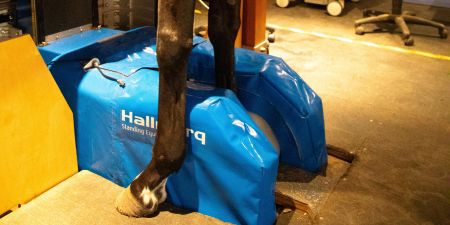 Leistung_3 Leistung 3